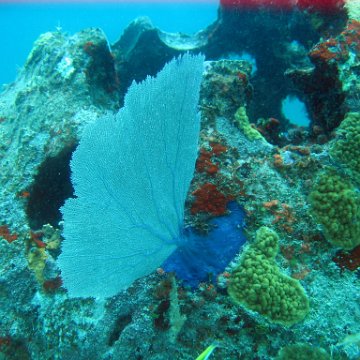 IMG_9530 IMG_9530
