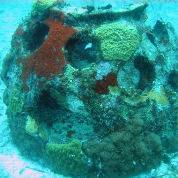 IMG_9536 IMG_9536