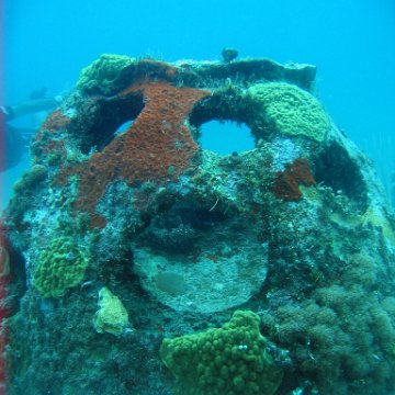 IMG_9537 IMG_9537