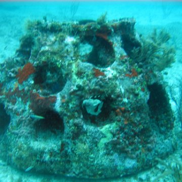 IMG_9539 IMG_9539