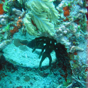 IMG_9540 IMG_9540