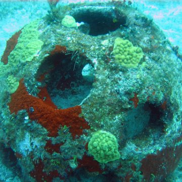 IMG_9550 IMG_9550