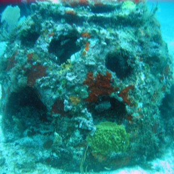 IMG_9556 IMG_9556