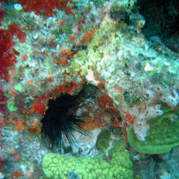 IMG_9557 IMG_9557