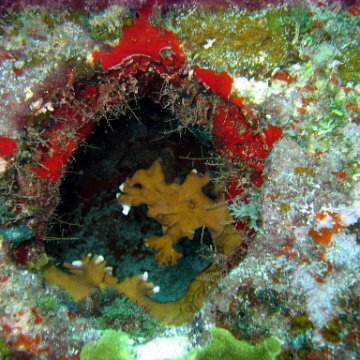IMG_9559 IMG_9559