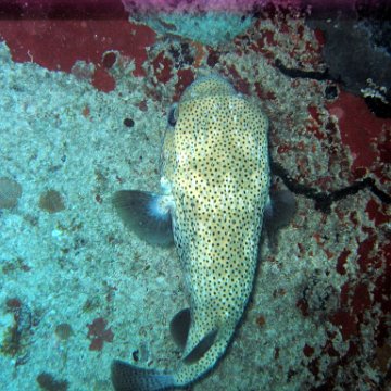 IMG_9564 IMG_9564