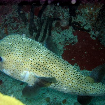 IMG_9565 IMG_9565