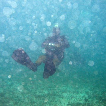 IMG_6123 IMG_6123