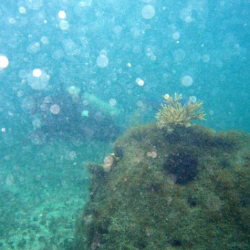IMG_6126 IMG_6126
