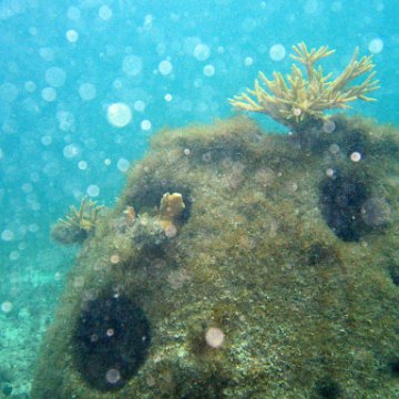 IMG_6127 IMG_6127