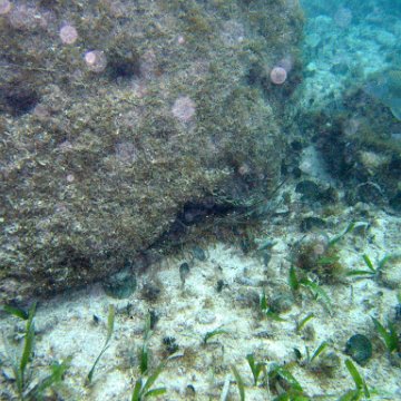 IMG_6128 IMG_6128