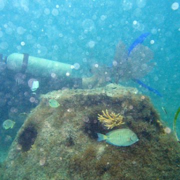 IMG_6134 IMG_6134