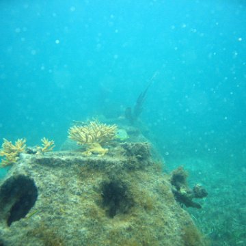 IMG_6135 IMG_6135