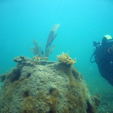 IMG_6136 IMG_6136