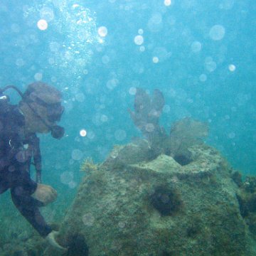 IMG_6137 IMG_6137