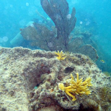 IMG_6138 IMG_6138
