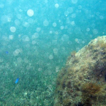 IMG_6145 IMG_6145