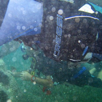 IMG_6147 IMG_6147