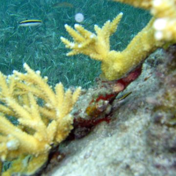 IMG_6150 IMG_6150