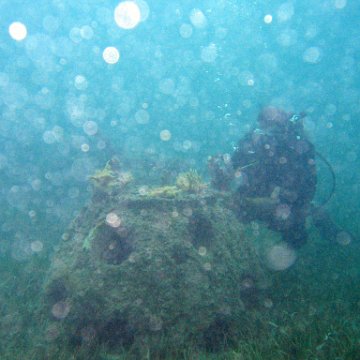IMG_6157 IMG_6157
