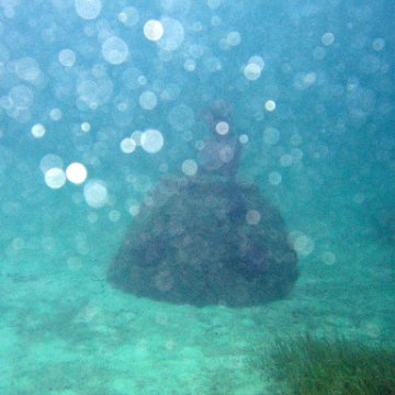 IMG_6170 IMG_6170