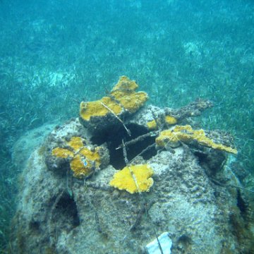 IMG_6173 IMG_6173