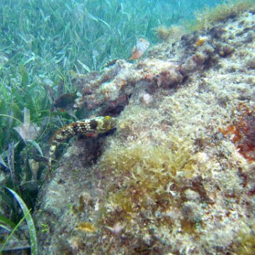 IMG_6185 IMG_6185