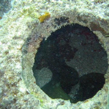 IMG_6189 IMG_6189
