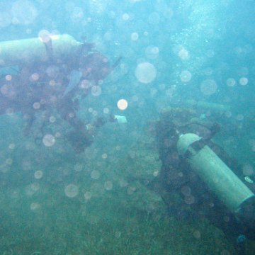 IMG_6190 IMG_6190