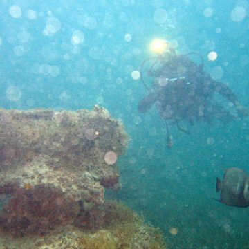 IMG_6193 IMG_6193