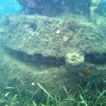 IMG_6194 IMG_6194
