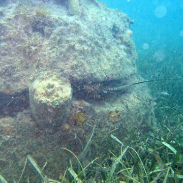 IMG_6195 IMG_6195