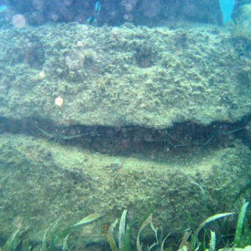 IMG_6196 IMG_6196