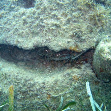 IMG_6199 IMG_6199