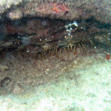 IMG_6200 IMG_6200