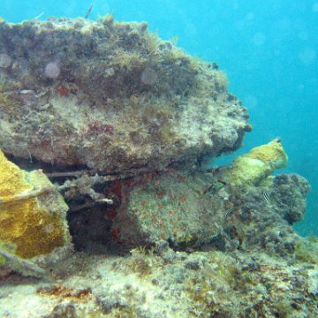 IMG_6203 IMG_6203