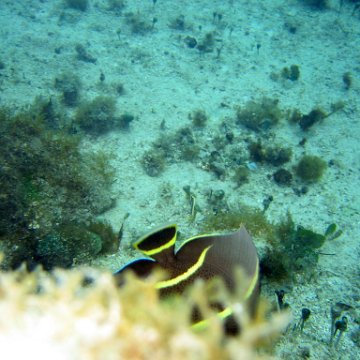 IMG_9414 IMG_9414