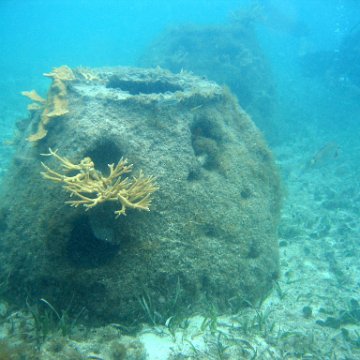 IMG_9426 IMG_9426
