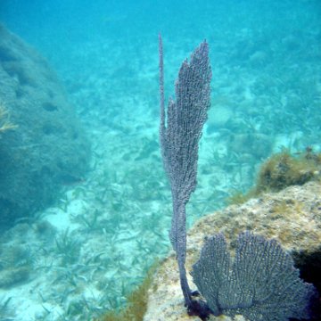 IMG_9427 IMG_9427
