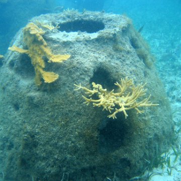 IMG_9428 IMG_9428