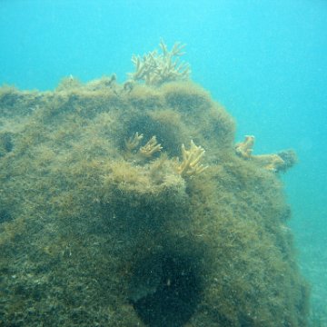 IMG_9430 IMG_9430