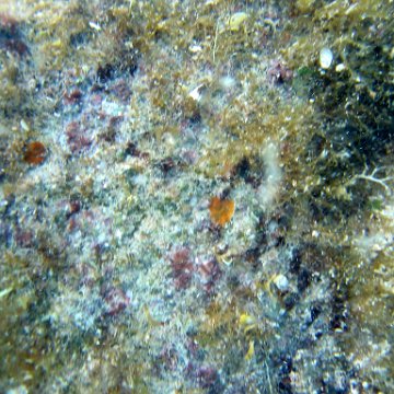 IMG_9431 IMG_9431
