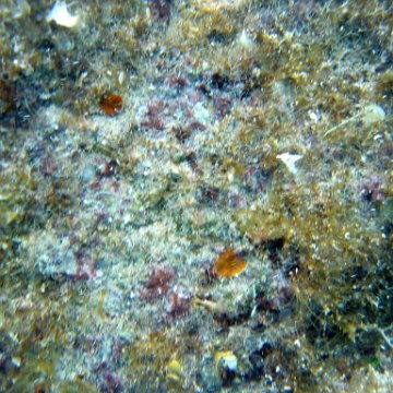 IMG_9432 IMG_9432
