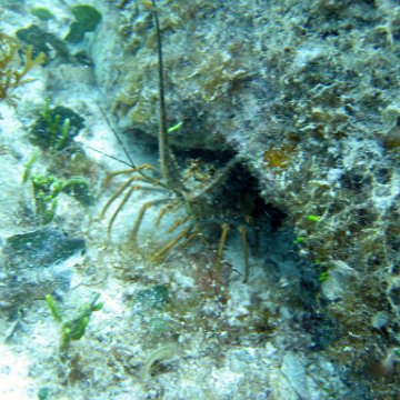 IMG_9434 IMG_9434