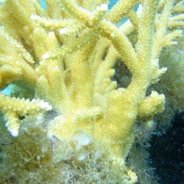 IMG_9435 IMG_9435