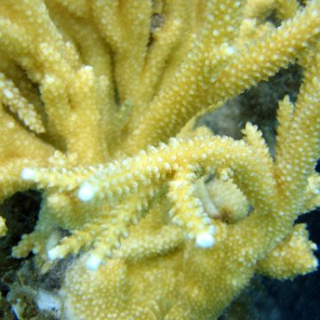 IMG_9436 IMG_9436