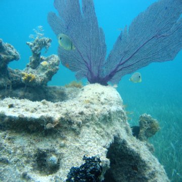 IMG_9438 IMG_9438