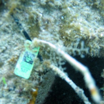 IMG_9446 IMG_9446