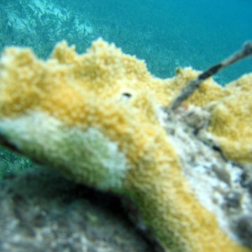 IMG_9449 IMG_9449