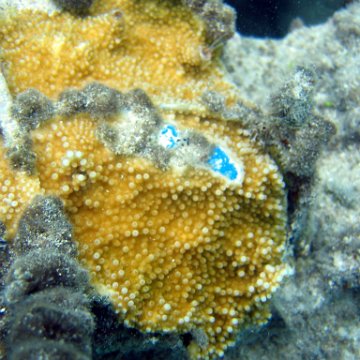IMG_9451 IMG_9451